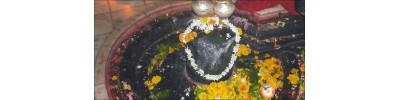 பரலி - பீஹார்